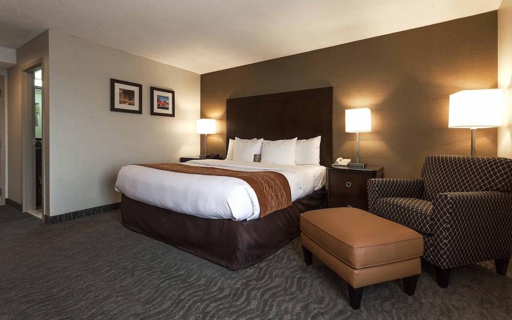 Best Western Chicago - Downers Grove Zewnętrze zdjęcie