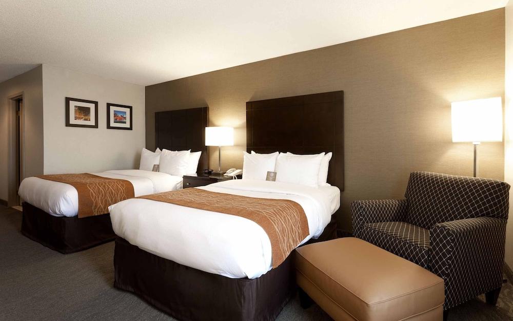 Best Western Chicago - Downers Grove Zewnętrze zdjęcie